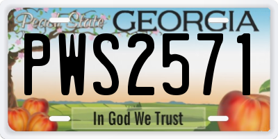 GA license plate PWS2571