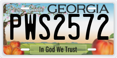 GA license plate PWS2572