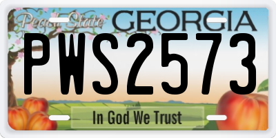 GA license plate PWS2573