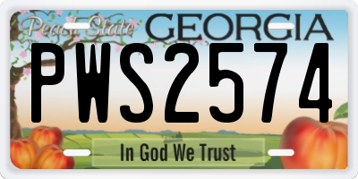GA license plate PWS2574