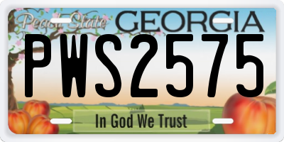 GA license plate PWS2575