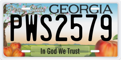 GA license plate PWS2579