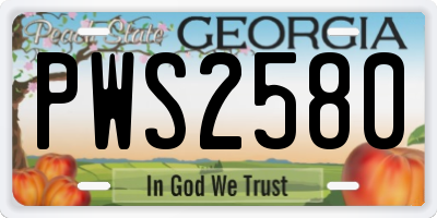 GA license plate PWS2580