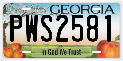 GA license plate PWS2581