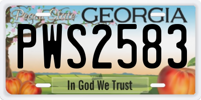 GA license plate PWS2583
