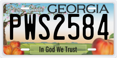 GA license plate PWS2584