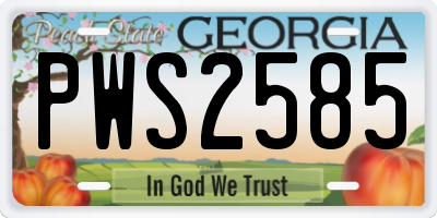 GA license plate PWS2585