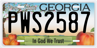 GA license plate PWS2587