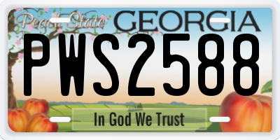 GA license plate PWS2588