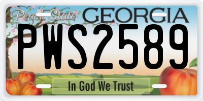 GA license plate PWS2589