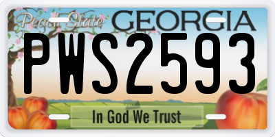 GA license plate PWS2593