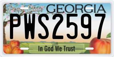 GA license plate PWS2597