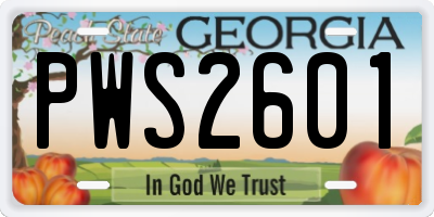 GA license plate PWS2601