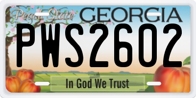 GA license plate PWS2602