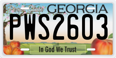 GA license plate PWS2603