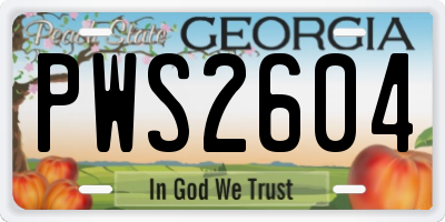 GA license plate PWS2604