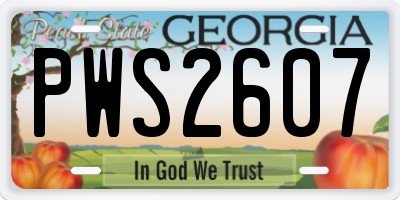 GA license plate PWS2607