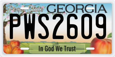 GA license plate PWS2609