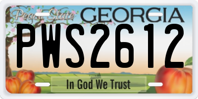 GA license plate PWS2612