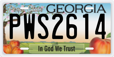 GA license plate PWS2614