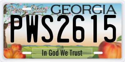 GA license plate PWS2615