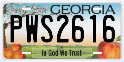 GA license plate PWS2616