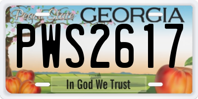 GA license plate PWS2617