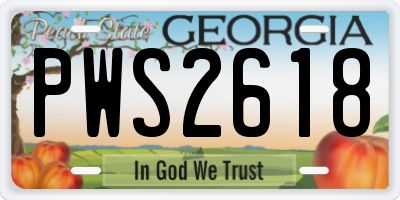 GA license plate PWS2618