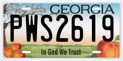 GA license plate PWS2619