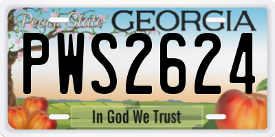 GA license plate PWS2624