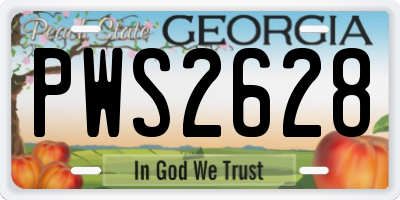 GA license plate PWS2628