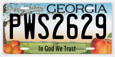 GA license plate PWS2629