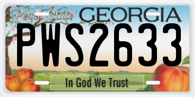 GA license plate PWS2633