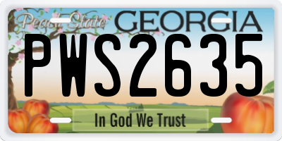 GA license plate PWS2635