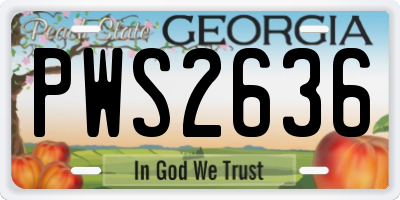 GA license plate PWS2636