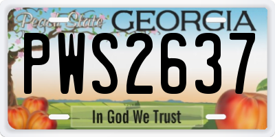 GA license plate PWS2637