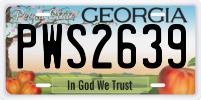 GA license plate PWS2639