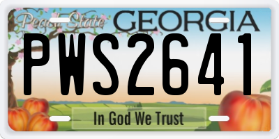GA license plate PWS2641