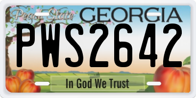 GA license plate PWS2642