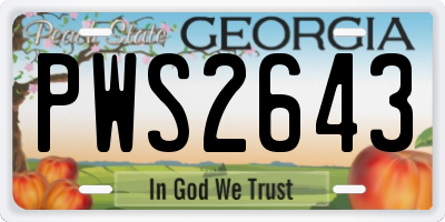 GA license plate PWS2643