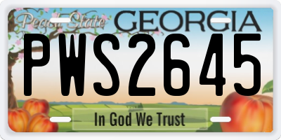 GA license plate PWS2645
