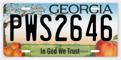 GA license plate PWS2646