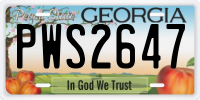 GA license plate PWS2647