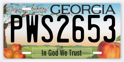 GA license plate PWS2653