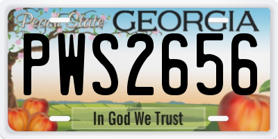 GA license plate PWS2656