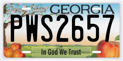 GA license plate PWS2657