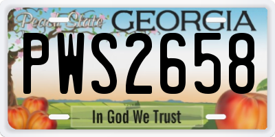 GA license plate PWS2658