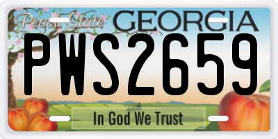 GA license plate PWS2659
