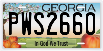 GA license plate PWS2660