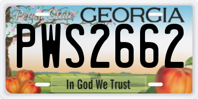 GA license plate PWS2662